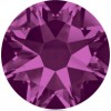 12ss Fuchsia Maxima